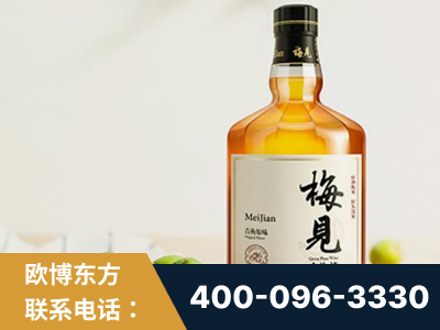 梅河口-梅见青梅酒